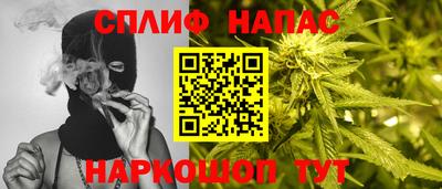 стаф Ставрополь