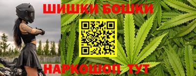 стаф Ставрополь