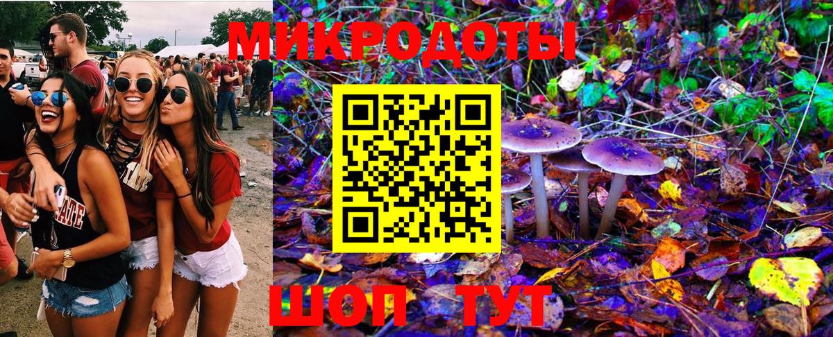 даркнет сайт  Вход с VPN  Псилоцибиновые грибы MAGIC MUSHROOMS  Новочеркасск  Псилоцибиновые грибы мухоморы 